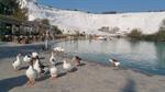 Pamukkale (Hierapolis Ancient City) Private Tour 