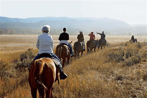 KUSADASİ HORSE SAFARİ